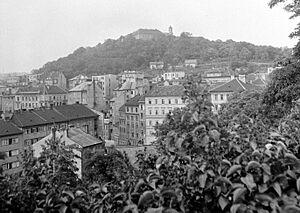 Látkép, háttérben a Spilberk vár. Fortepan 7761