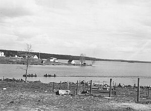 Lac Mistassini, Baie du Poste (Mistissini). Billots traînés par deux canots à moteur
