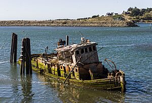 Mary D. Hume steamer OR2
