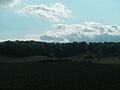Meadow Grove Farm, family cemetery and greenery