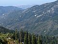 Mineral King Road from Tar Gap Trail