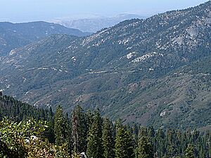 Mineral King Road from Tar Gap Trail