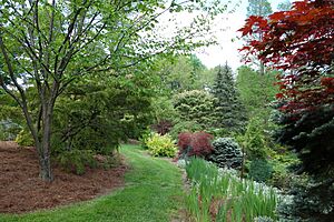 Mount Airy Arboretum - DSC03793