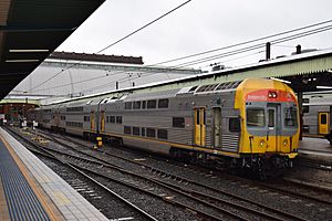 NSW Translink DIM 8083