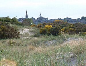 Nairn - geograph.org.uk - 185203.jpg