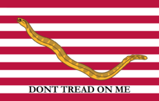 Naval jack of the United States (1975–1976)
