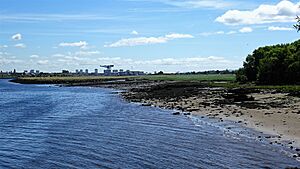 Newshot Island from the nature reserve, River Clyde