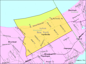 U.S. Census map of Northville.