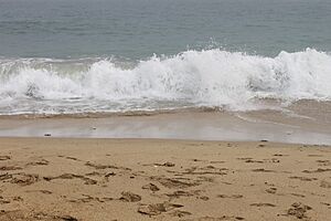 Ocean waves at Sand Beach, Acadia N.P. IMG 2432