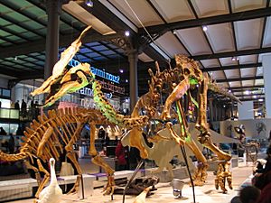 Olorotitan 28-12-2007 14-52-33