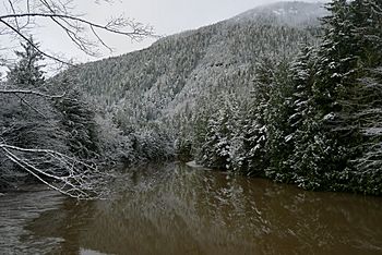 Overlooking the McNeil River at the Gamble Creek Ecological Reserve.jpg