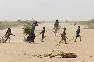 Oxfam East Africa - A family gathers sticks and branches for firewood