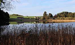 A small scene through some reeds