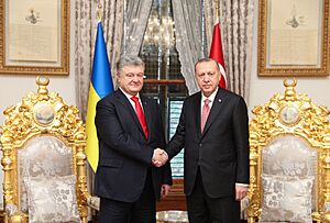 Petro Poroshenko and Recep Tayyip Erdoğan