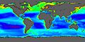 Plankton satellite image