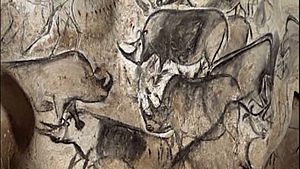 Rhinos Chauvet Cave