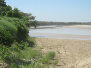 The Pilcomayo River near Pedro Peña, Paraguay