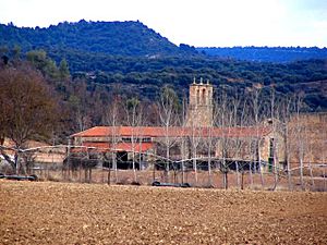 A group of stone buildings seen in the distance, across a plowed field and through a row of bare wintry trees. The buildings have red tile roofs. A stone bell tower rises amid the group.