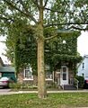 Shanahan House 98 William Street Brantford Ontario