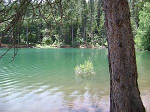 Pollock Pines, California Facts for Kids