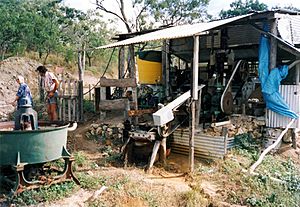 Small gold mine near Coen. 1990