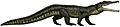 Smilosuchus adamanensis flipped