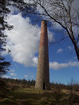 Smitham Chimney - geograph.org.uk - 74537