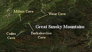 Smokies-coves-tn1