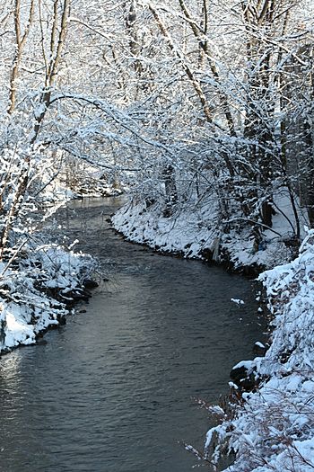 Solomon Creek in winter.jpg