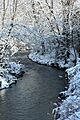 Solomon Creek in winter