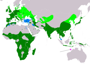 alt=Global range      breeding       resident       non-breeding       vagrant (seasonality uncertain) 