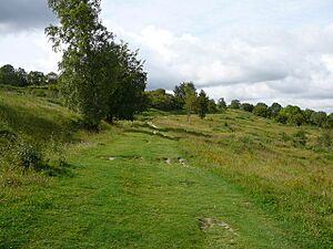 The path up Bacombe Hill - geograph.org.uk - 649014