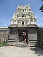 Tiruparuthikundram (15)