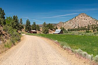 Trout Creek Road, Ashwood - DPLA - d96722b109a213d8dafa4a999adc5641