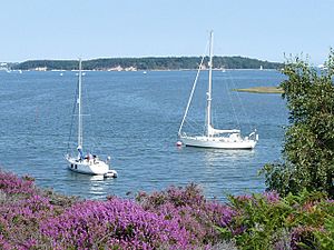 View across Poole Harbour - geograph.org.uk - 1442326