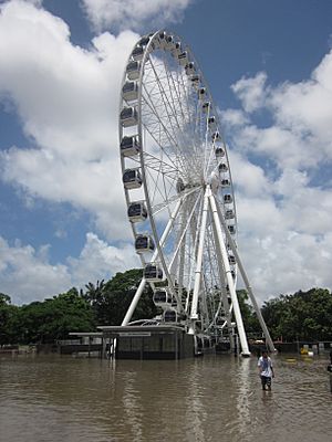 Wheel of brisbane during 2011 flooding