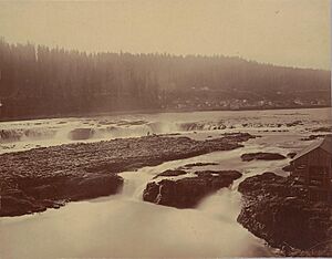 Willamette Falls 1867