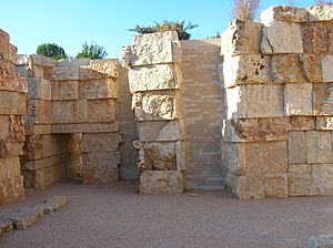 YadVashem Valley of the Communities 002