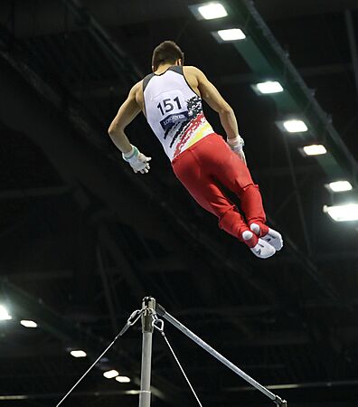 2019-06-30 1st FIG Artistic Gymnastics JWCH Men's Apparatus finals Horizontal bar (Martin Rulsch) 065
