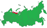 2020 Russia Constitution Referendum Results