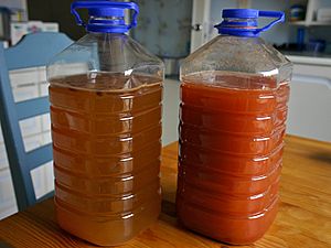 2 kinds of Finnish Mead
