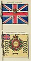 31st Foot Colours