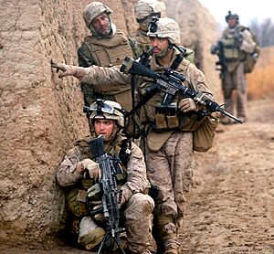 6th Marine Rgt. on patrol in Marja 2010-02-22 crop