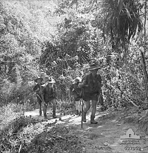 AWM 027052 16th Brigade Owen Stanleys Oct 1942