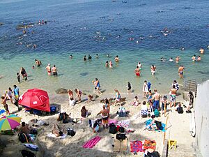 A tidal pool at la jolla cove