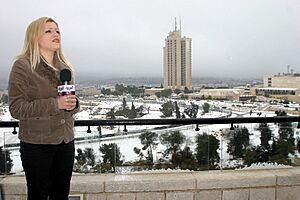 Arabiya Reporter