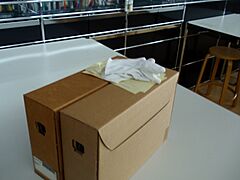 Archive boxes