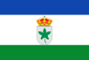Flag of Higuera