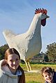 Big Chook