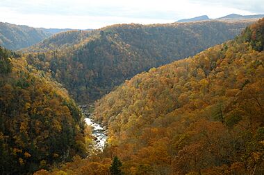 Breaks Canyon Fall